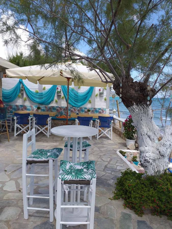 Golden Dolphin & * Alykes (Zakynthos)
